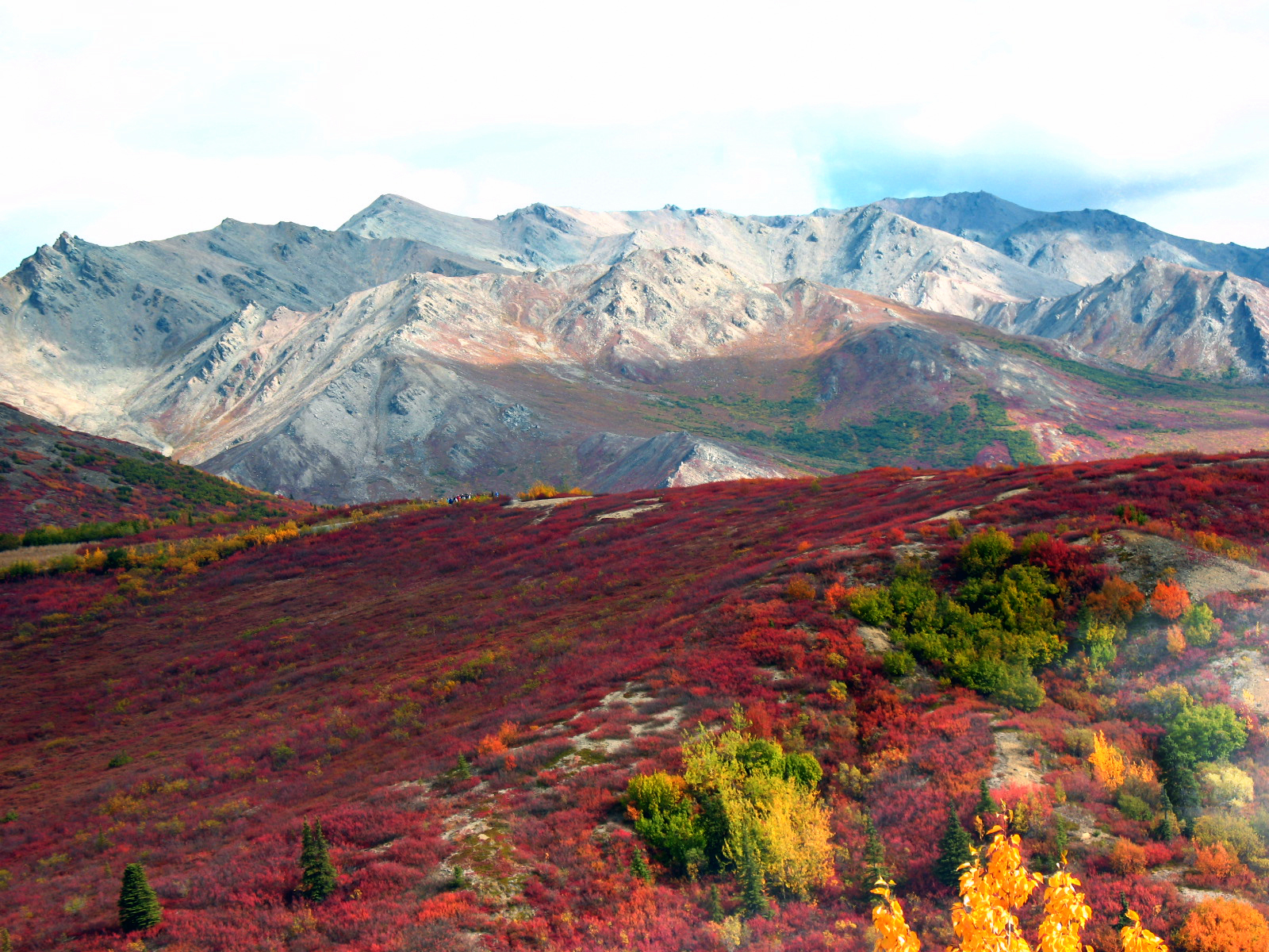 mountain