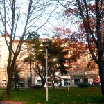Fall
