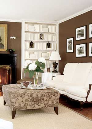 Decorating With Brown