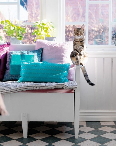 Color your home brightly