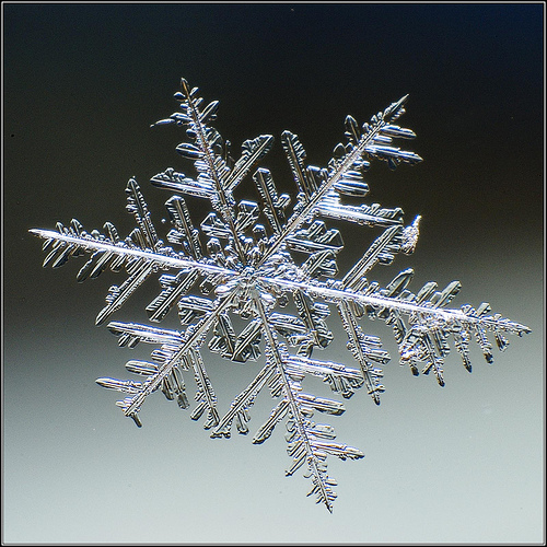 snowflake9