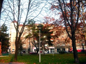 Fall