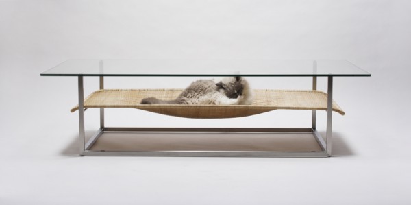 cat hammock2